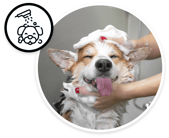 Bathing & Washing